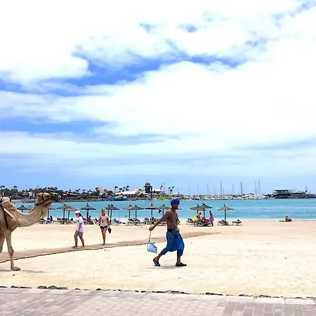 206 Pueblo Pescadores 아파트 칼레타데푸스테